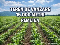 Teren de vanzare, 15.000 M, Remetea
