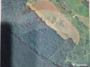 Teren forestier 15,618 mp Santimreu / com. Salard 