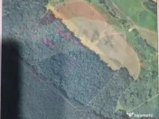 Teren forestier 15,618 mp Santimreu / com. Salard 