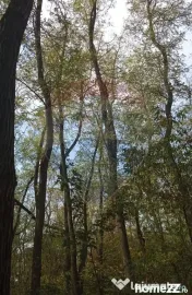 Teren forestier 15,618 mp Santimreu / com. Salard 