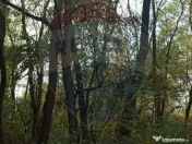 Teren forestier 15,618 mp Santimreu / com. Salard 