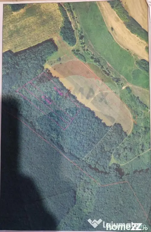 Teren forestier 15,618 mp Santimreu / com. Salard