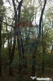 Teren forestier 15,618 mp Santimreu / com. Salard