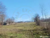 Teren intravilan 6500 euro - Gliganu de Sus - Rociu 