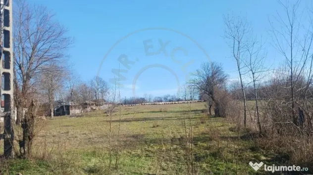 Teren intravilan 6500 mp- Gliganu de Sus - Rociu