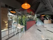 Restaurant & terasa la cheie I stradal gata de operare I ... 