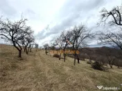 TEREN 34.000 MP | SERANI BIHOR 