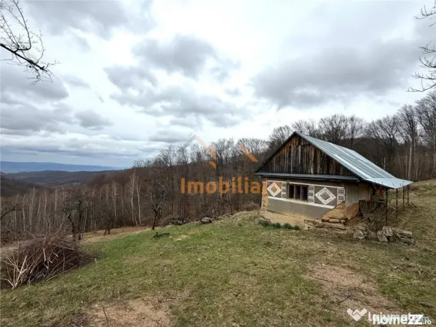 TEREN 34.000 MP | SERANI BIHOR - Serani (Bihor)