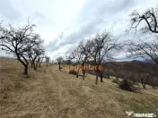 TEREN 34.000 MP | SERANI BIHOR