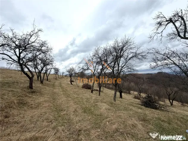 TEREN 34.000 MP | SERANI BIHOR - Serani (Bihor)