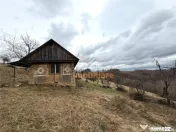 TEREN 34.000 MP | SERANI BIHOR