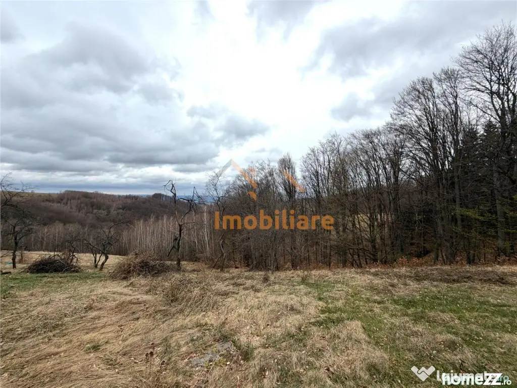 TEREN 34.000 MP | SERANI BIHOR - Serani (Bihor)