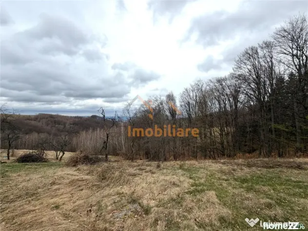 TEREN 34.000 MP | SERANI BIHOR - Serani (Bihor)