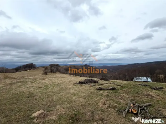 TEREN 34.000 MP | SERANI BIHOR - Serani (Bihor)