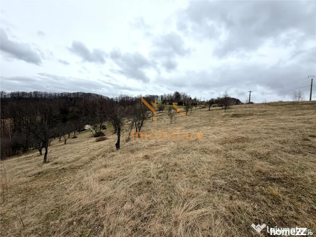 TEREN 34.000 MP | SERANI BIHOR - Serani (Bihor)