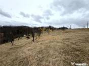 TEREN 34.000 MP | SERANI BIHOR