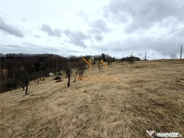 TEREN 34.000 MP | SERANI BIHOR - Serani (Bihor)