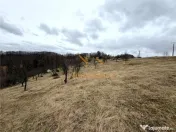 TEREN 34.000 MP | SERANI BIHOR 