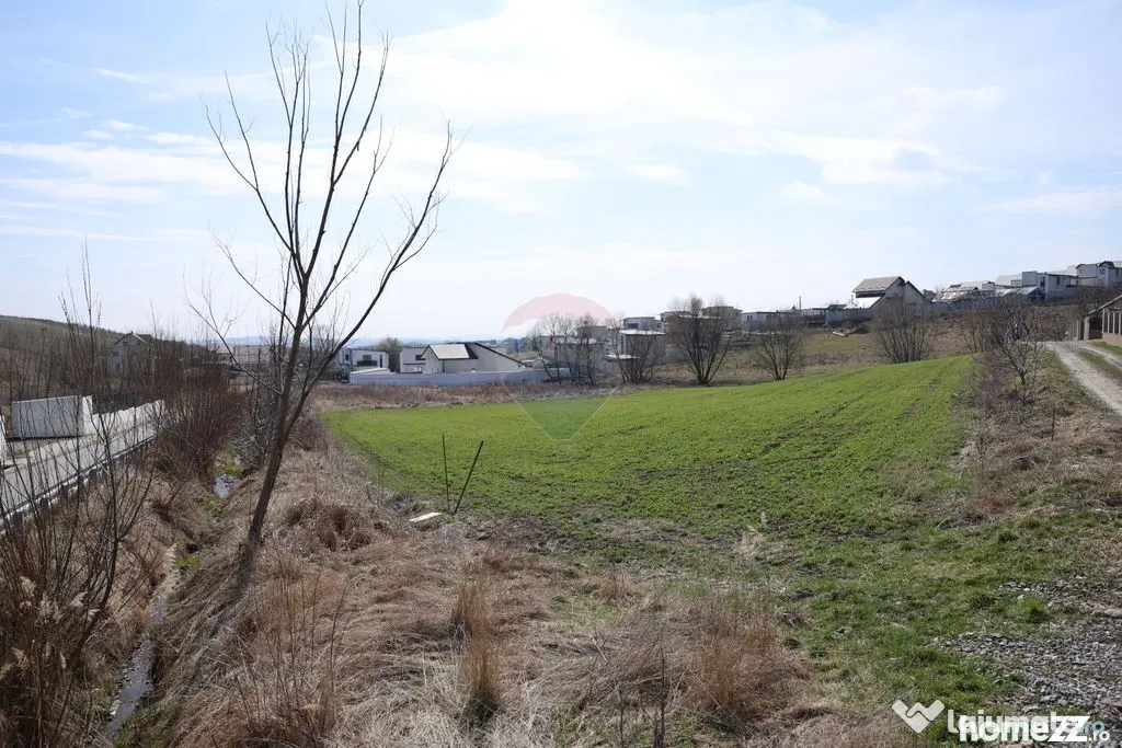 Teren 3,500mp Moara / Strada Pprincipala