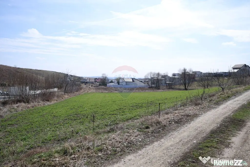 Teren 3,500mp Moara / Strada Pprincipala