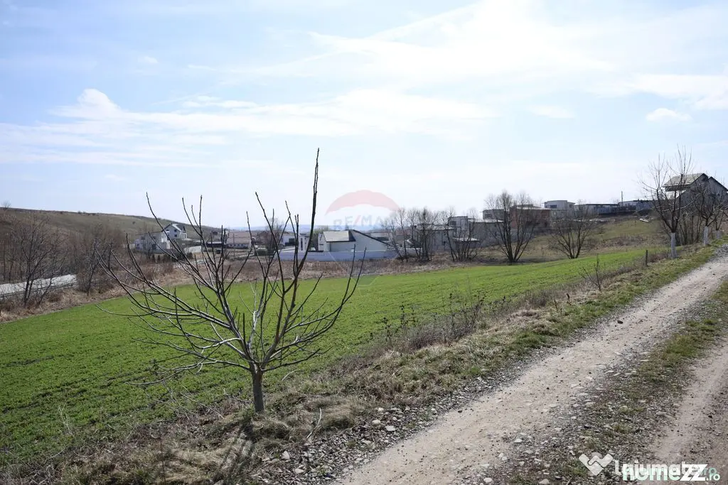 Teren 3,500mp Moara / Strada Pprincipala