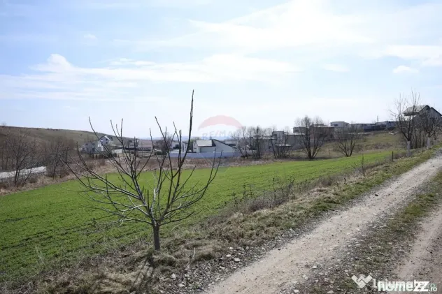 Teren 3,500mp Moara / Strada Pprincipala