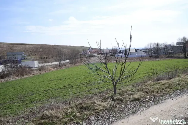 Teren 3,500mp Moara / Strada Pprincipala