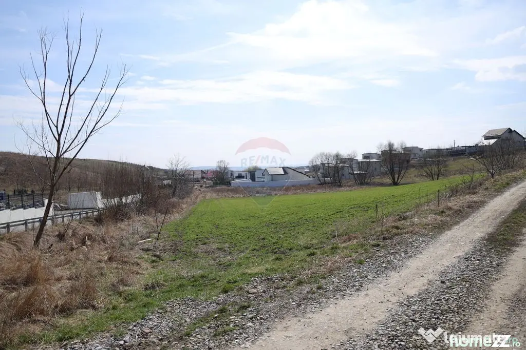 Teren 3,500mp Moara / Strada Pprincipala