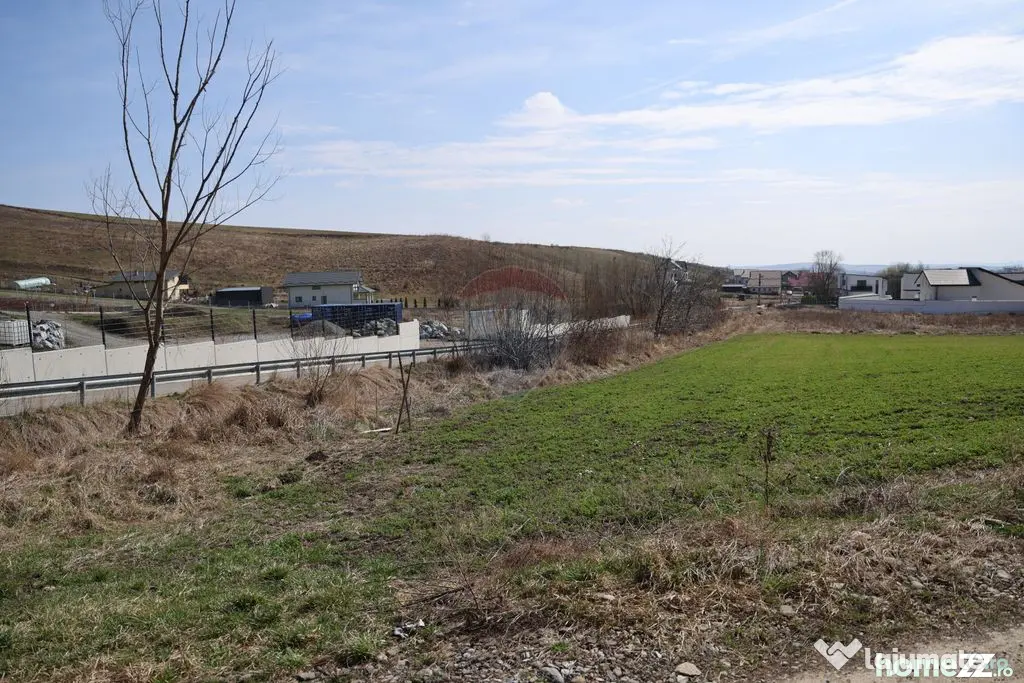 Teren 3,500mp Moara / Strada Pprincipala