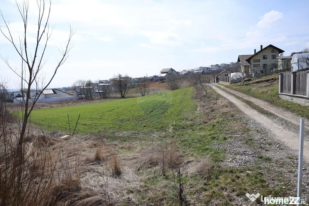 Teren 3,500mp Moara / Strada Pprincipala