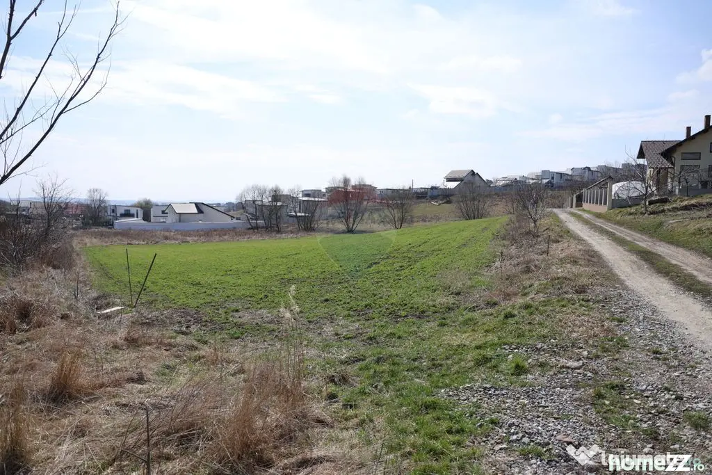 Teren 3,500mp Moara / Strada Pprincipala