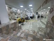 Brancoveanu-Nitu Vasile | Casa Individuala- D P 1 M 