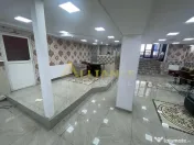 Brancoveanu-Nitu Vasile | Casa Individuala- D P 1 M 