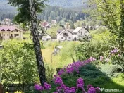 VILA CARTIER ZAMORA//BUSTENI 