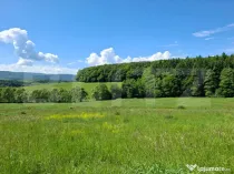 Teren Brasov , Dumbravita ,intravilan 600 mp pretabil casa s