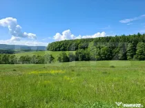 Teren Brasov , Dumbravita ,intravilan 680 mp pretabil casa s