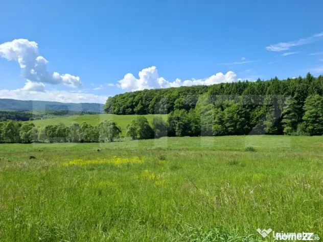 Teren Brasov , Dumbravita ,intravilan 680 mp pretabil casa s - Dumbravita (Brasov)