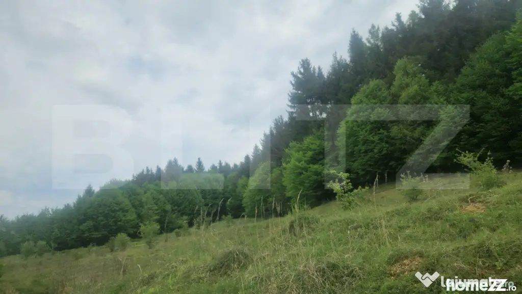Teren Brasov , Dumbravita ,intravilan 680 mp pretabil casa s - Dumbravita (Brasov)