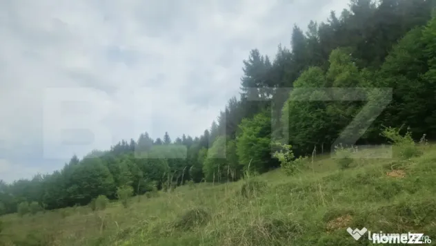 Teren Brasov , Dumbravita ,intravilan 680 mp pretabil casa s - Dumbravita (Brasov)