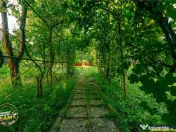 FILM! Casuta cu peste 800mp teren, areal estimabil, Lenin, S 