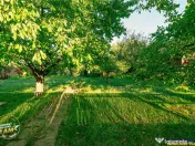 FILM! Casuta cu peste 800mp teren, areal estimabil, Lenin, S 