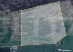 Teren extravilan 4,5ha Lipova