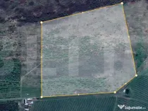 Teren extravilan 4,5ha Lipova