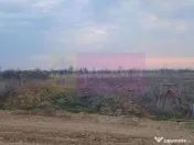 Săbăreni, teren curti-constructii 610 mp cu utilităti 