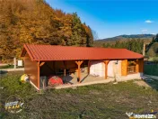 FILM! Vila intr-un peisaj mirific, cu 2.900mp teren, Covasna 