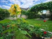 Poveste saseasca la umbra vitei de vie,cu crama,gradina flor 