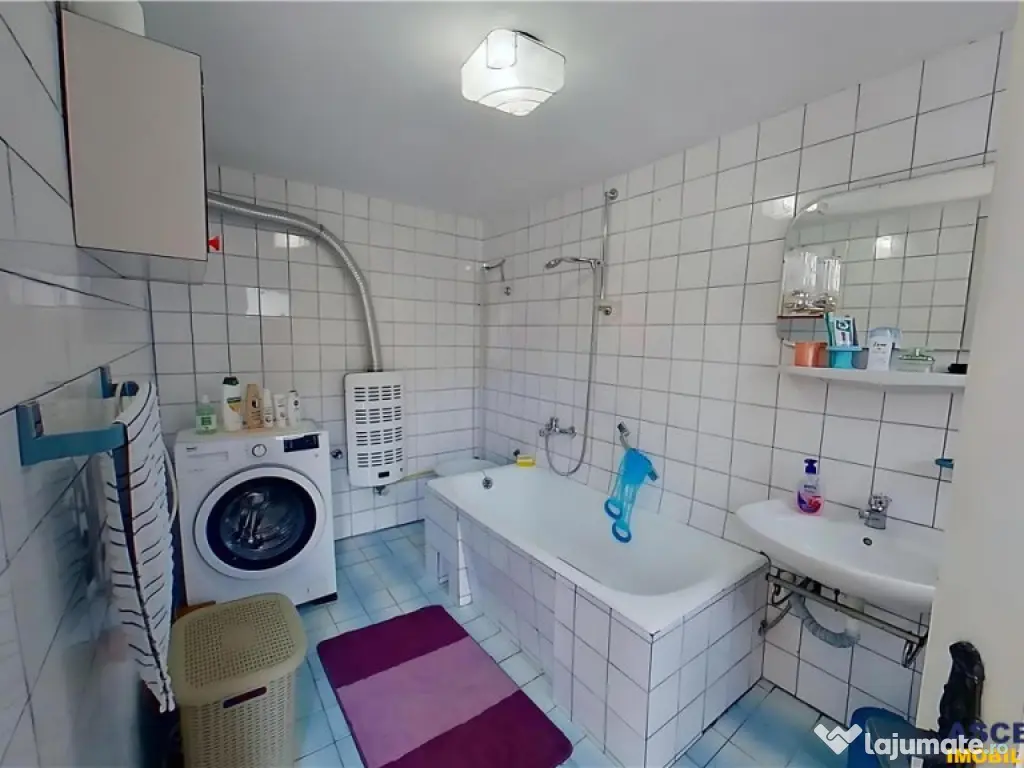 Poveste saseasca la umbra vitei de vie,cu crama,gradina flor