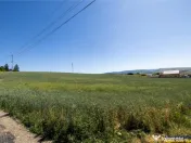 FILM! 1.400 mp, teren intravilan, in Maierus, Brasov 