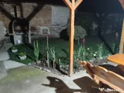 De închiriat 2 camere Berzasca 