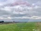 COMISION 0% | Teren intravilan | 3545 MP | Oportunitate d... 